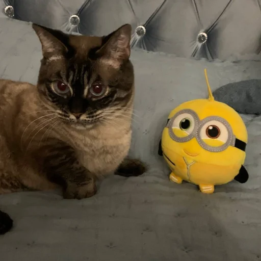 Стикер sima_boginya - 1