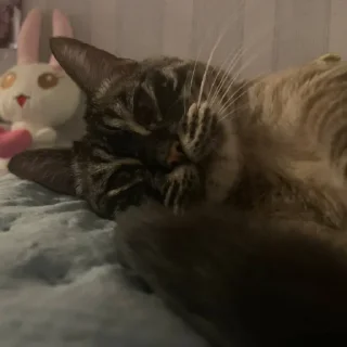 Sticker сима богиня - 10