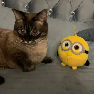 Sticker сима богиня - 11