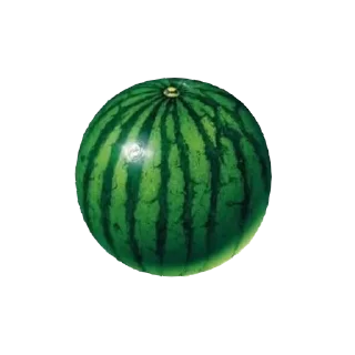 Sticker simbiboba - 6