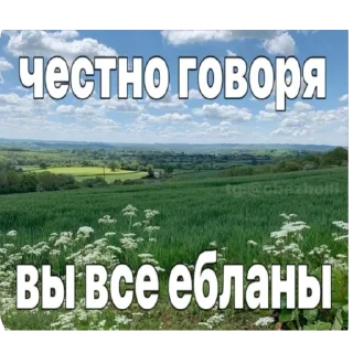 Стикер симфони - 2