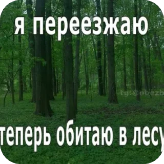 Стикер симфони - 6