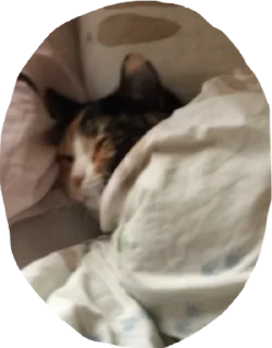 Sticker simona_purr - 5