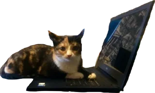 Sticker simona_purr - 9