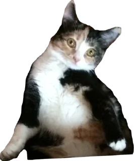 Sticker simona_purr - 1