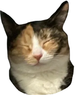 Sticker simona_purr - 8