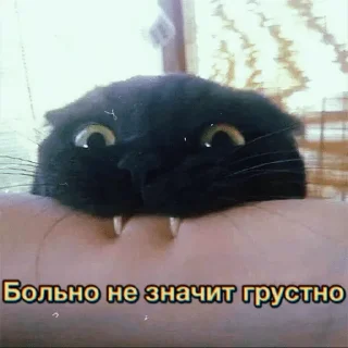 Sticker Sirotkin greatest hits - 11