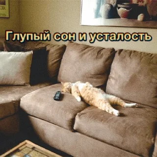 Sticker Sirotkin greatest hits - 4