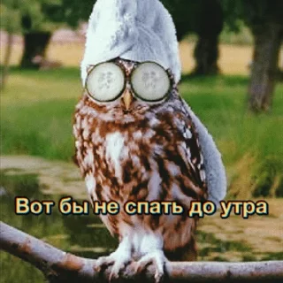 Sticker Sirotkin greatest hits - 2