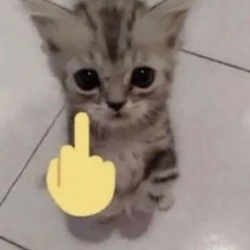 сиськи - млекопитающее