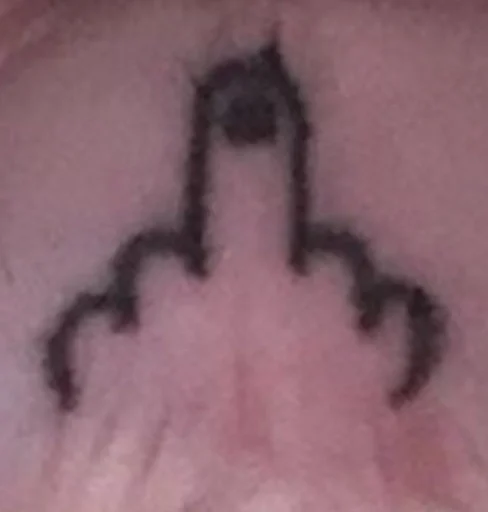 не хотела обидеть ? by @fStikBot - СМС