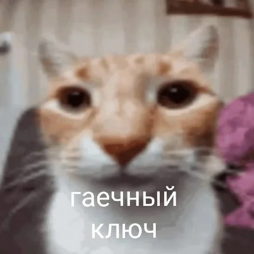 хуета с пинтереста от @sk1tlxs - 