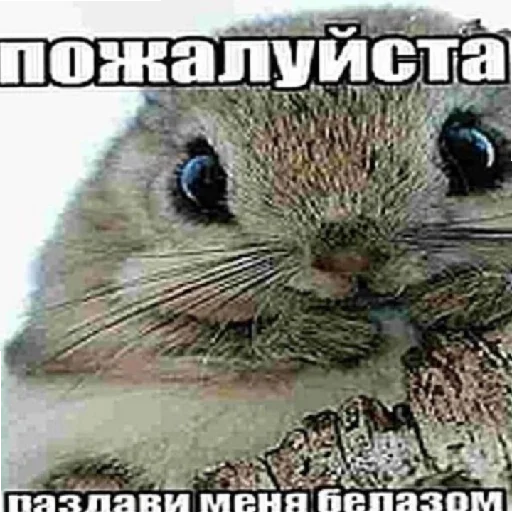 Sticker от сктлкса (@sk1tlxs) - 8