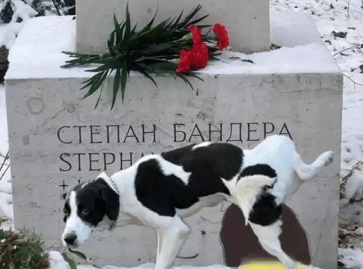 Стикер каклы - 3