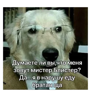 Sticker СКАМС ПАЦАНЫ!2.0 by hokage - 11