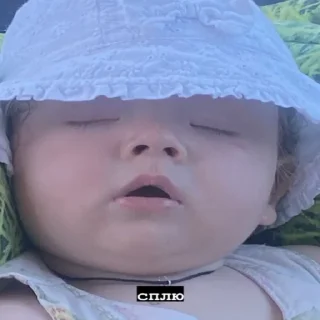 Sticker ПЕЛЬМЕНЬ - 2