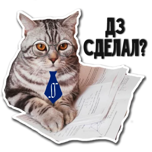 млекопитающее кошачьи кошки малого и среднего размера