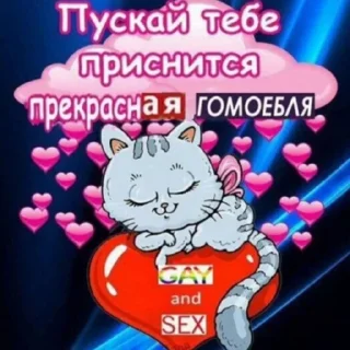 Sticker SKISTE4U pack - 4