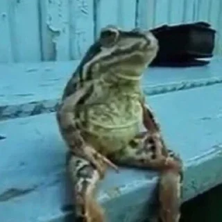 Sticker SKISTE4U pack - 2