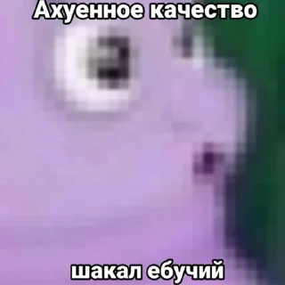 Sticker SKISTE4U pack - 3