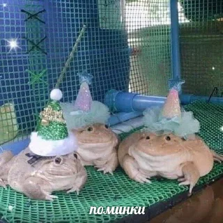 Sticker SKISTE4U pack - 8