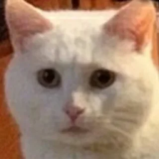 Sticker SKISTE4U pack - 11