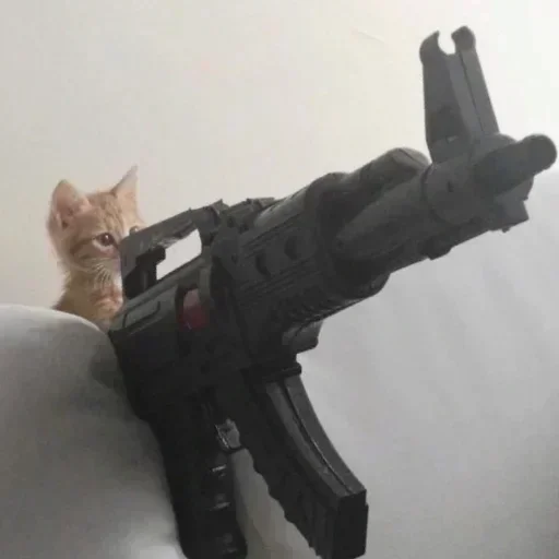 кошка оружие игрушка
