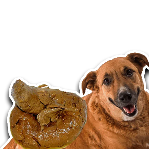 Sticker skotniydvor - 6