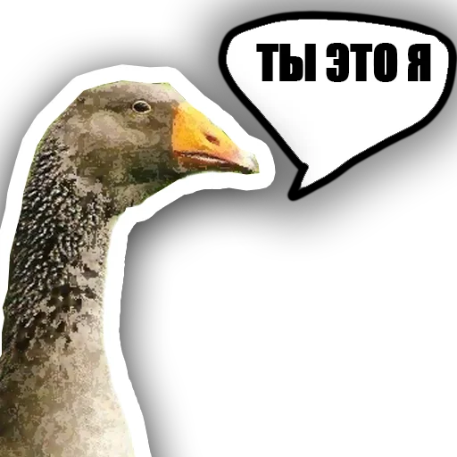 Sticker skotniydvor - 5