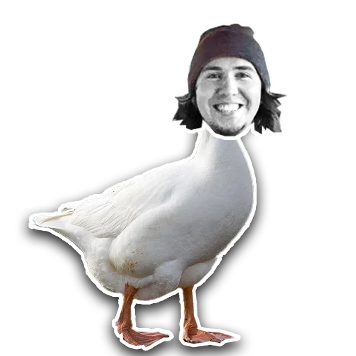 Sticker skotniydvor - 3