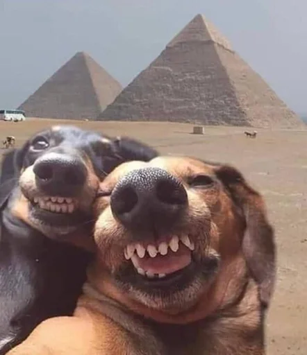 fjdjdjfjf by @fStikBot - 