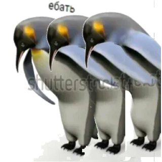 Sticker Заскринить этого уебка - 3