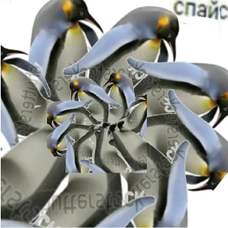 Sticker Заскринить этого уебка - 1