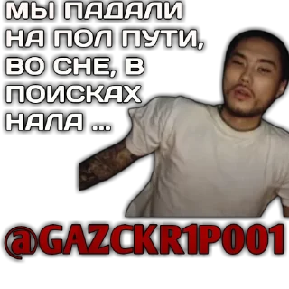 Sticker SKRIPYBRO - 4