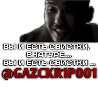 Sticker SKRIPYBRO - 10