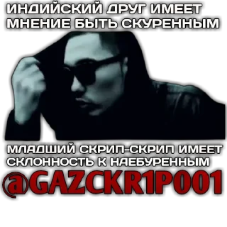 Sticker SKRIPYBRO - 8