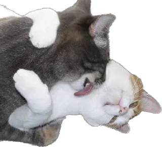 Sticker ᶻ 𝗓 𐰁 @kod_cmepTi - 5