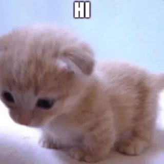 Sticker ᶻ 𝗓 𐰁 @kod_cmepTi - 2