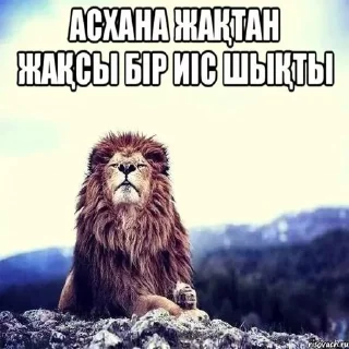 Sticker skufff trash @SkufStickers - 10