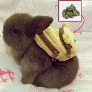 Sticker skufff trash @SkufStickers - 11