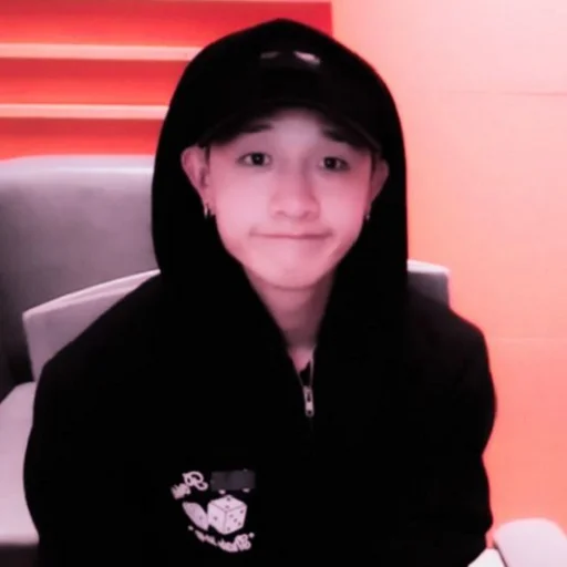 Sticker skz describes our lives - 3