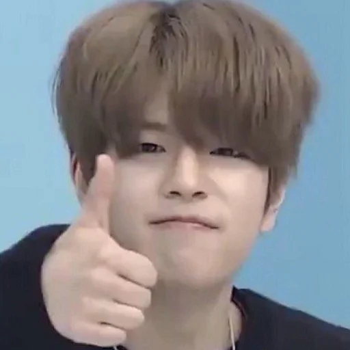 Sticker skz describes our lives - 1