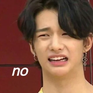 Стикер meme straykids @etozeyusa - 8