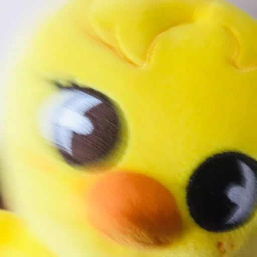 toy plush stuffed toy