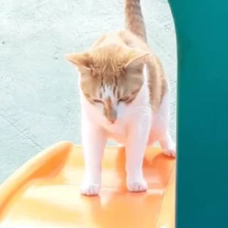 Стикер любимые - 11