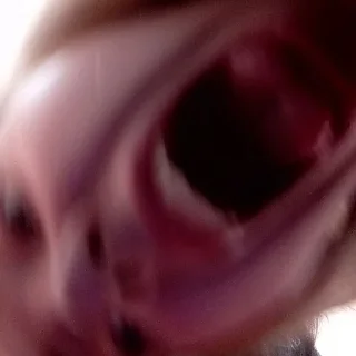 Sticker fucking slaves - 2