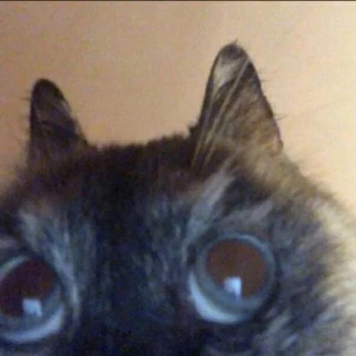 Я ще більше психічно хворий - 