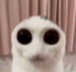 Стикер Я ще більше психічно хворий - 10