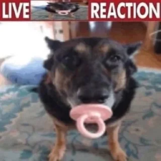 Sticker @SlapBattles - 3