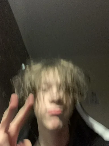 Человек человеческое лицо комнатный